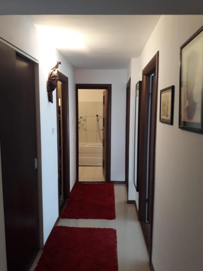Apartament Alexe เอโฟริเอนอร์ด ภายนอก รูปภาพ